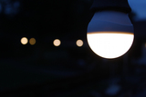 Eine Untersuchung im Auftrag von Ledon stellte fest, dass LED-Lampen Insekten weniger stark anlocken wie Halogen- oder Energiesparlampen.  