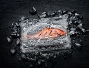 Kaum zu glauben:  Ein rohes Fischfilet in einem Eisblock wird in den Dialoggarer gegeben. Das Ergebnis: Nach wenigen Minuten ist der Fisch gegart, während das Eis selbst nach wie vor gefroren ist.