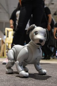 Neben den vielen Highlights in den klassischen Segmenten der Unterhaltungselektronik zog auch Roboter-Hund Aibo bei seiner Europa-Premiere die Blicke auf sich. (©Messe Berlin) 