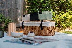 Der neue Pure Bloom soll sich vor allem durch sein modernes Design und seine hervorragende Audio-
Performance auszeichnen.